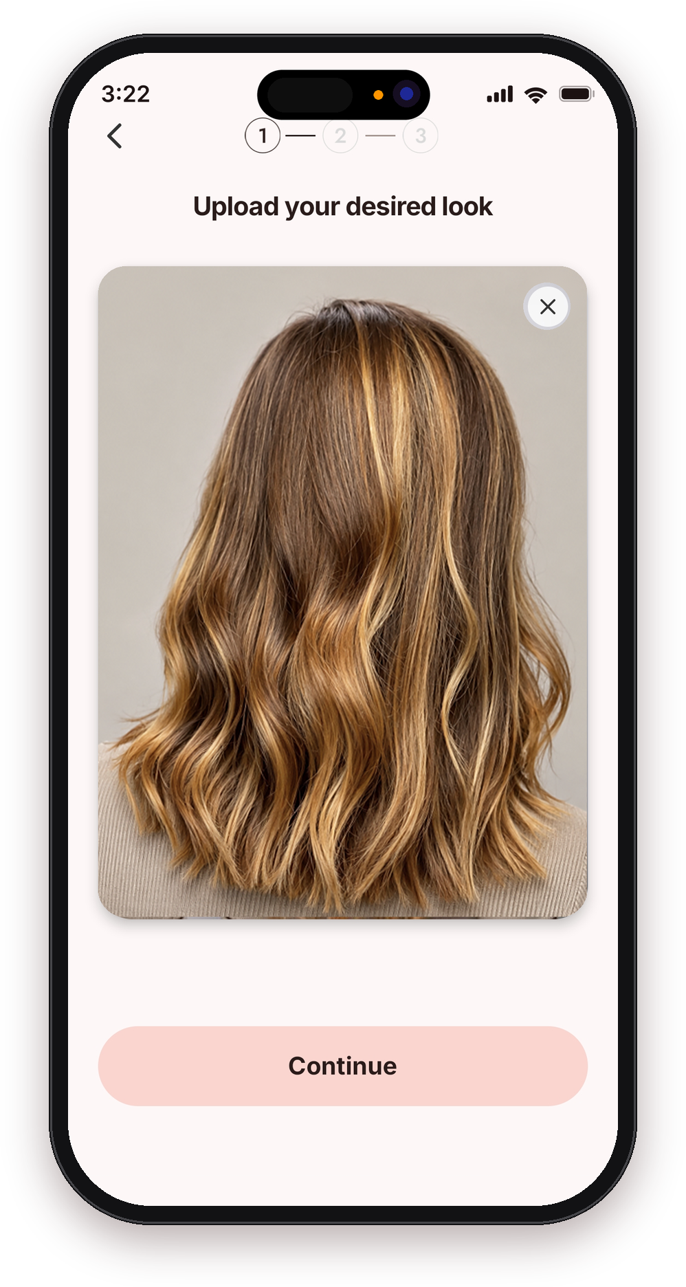 Uploading a client's inspo pic